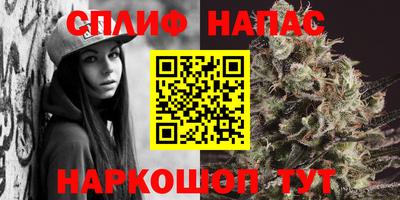 спайс Будённовск