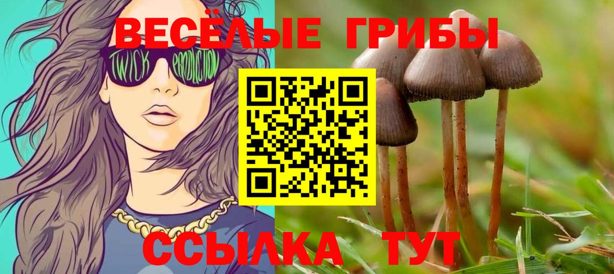 Кокаин Елец