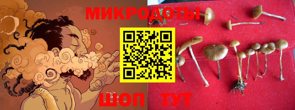 Галлюциногенные грибы ЛСД  Вход с VPN  Елец 